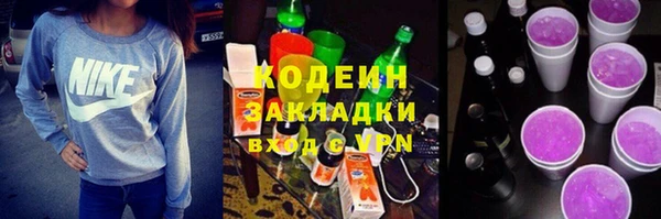 крисы Каменка