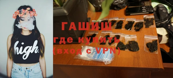 крисы Каменка