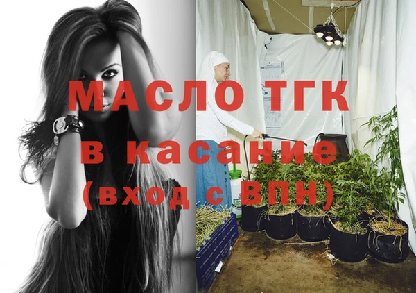крисы Каменка