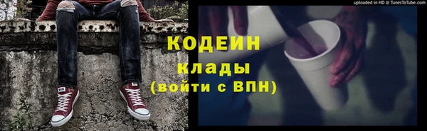 крисы Каменка