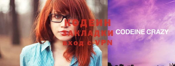 крисы Каменка