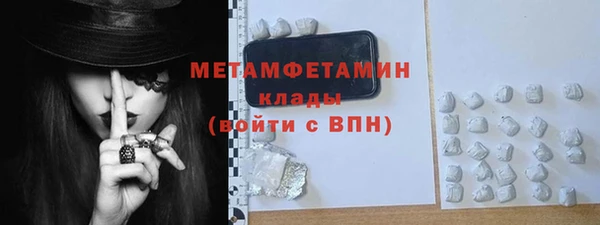 крисы Каменка