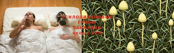 крисы Каменка