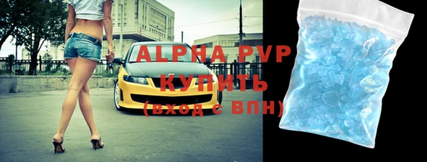 крисы Каменка