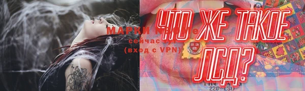 крисы Каменка