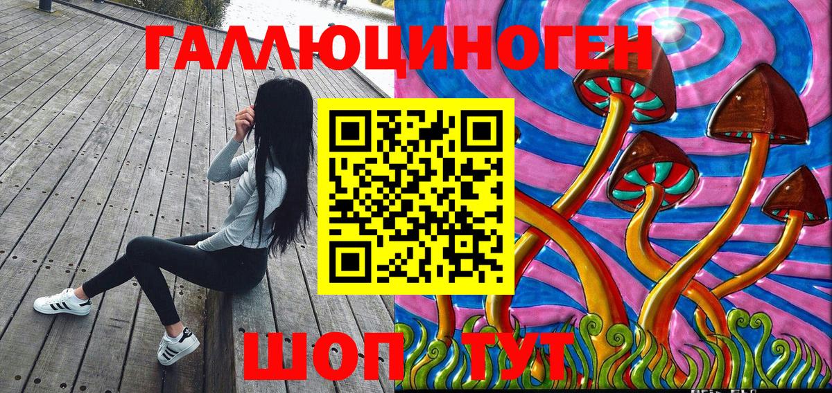 Псилоцибиновые грибы Cubensis Новочеркасск
