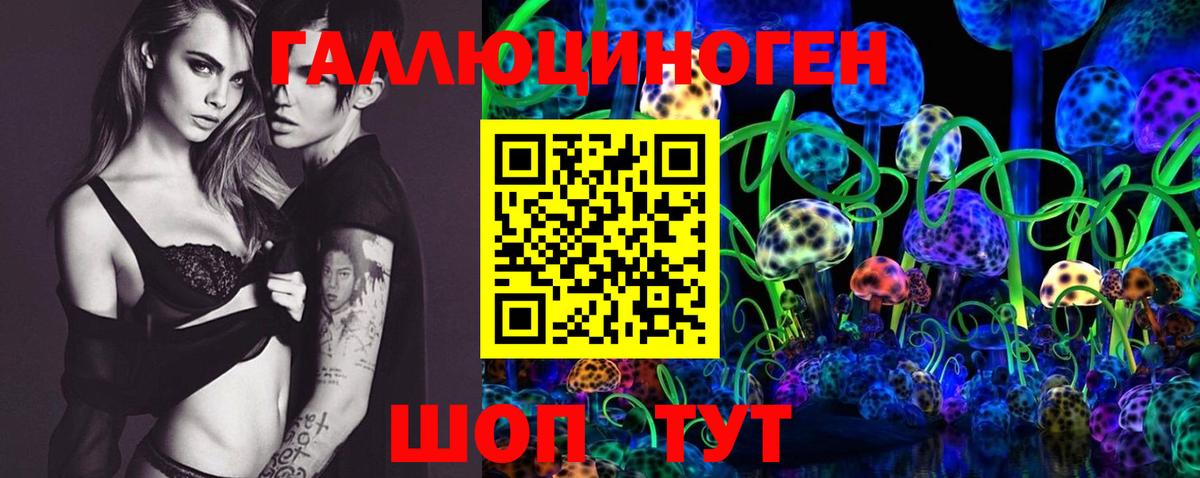 закладки  Вход с VPN  Новочеркасск  Псилоцибиновые грибы MAGIC MUSHROOMS  Псилоцибиновые грибы Psilocybe 
