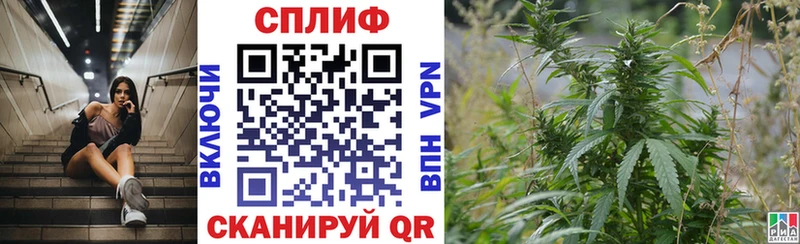 Бошки марихуана White Widow  купить   blacksprut как зайти  Новочеркасск 